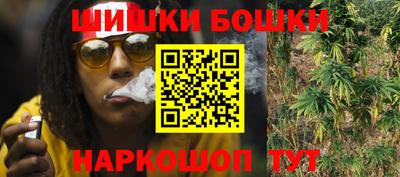 гашик Тулун