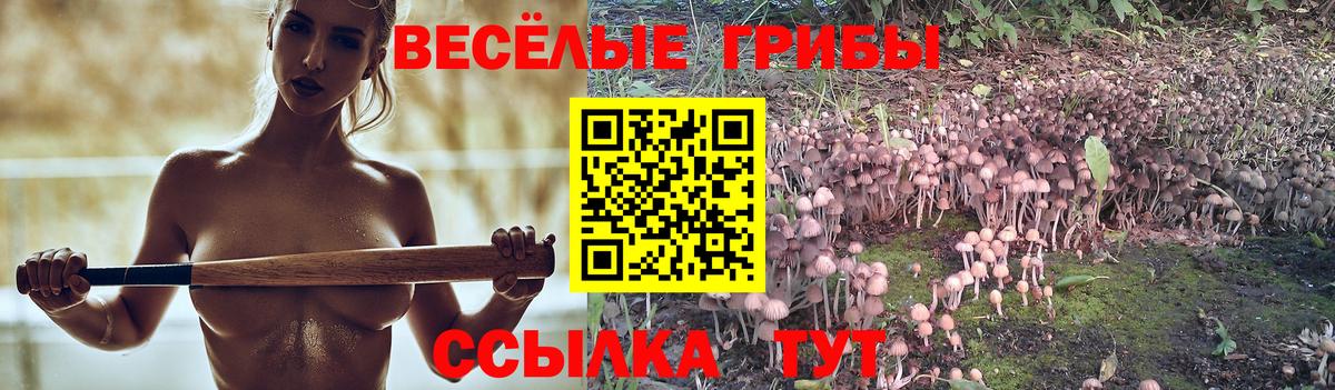 как найти   Галлюциногенные грибы прущие грибы  Псилоцибиновые грибы Magic Shrooms  Вход с VPN  Новосибирск 