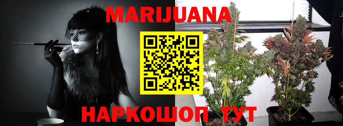 МАРИХУАНА тримм  Вход с VPN  МАРИХУАНА Bruce Banner  Новосибирск 